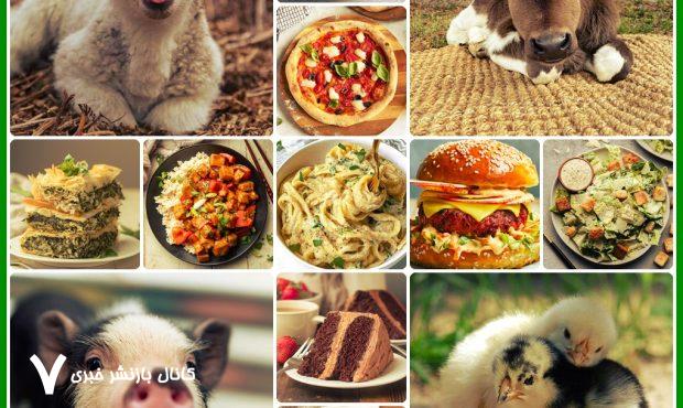 گوشت و لبنیات و تخم‌مرغ: گذرگاهی به سوی بیماری؟