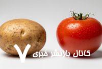 سیب‌زمینی از کجا آمده و چه ارتباطی با گوجه‌فرنگی دارد؟
