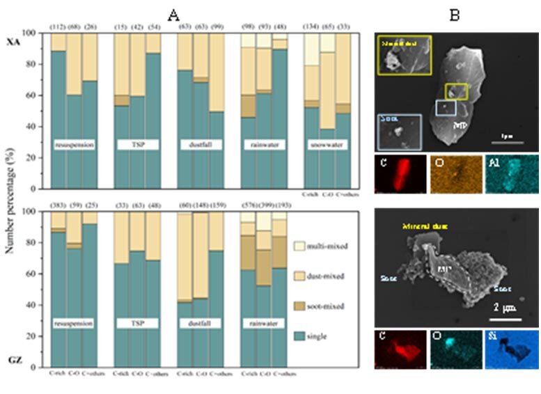 ابر پلاستیک مخفی بالای سر ما: ذرات ۲۰۰ نانومتری در ریه‌های شهر