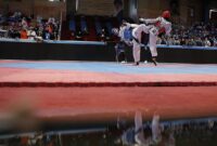 جانشین هادی ساعی در فدراسیون تکواندو منصوب شد جانشین هادی ساعی در فدراسیون تکواندو منصوب شد