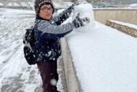 وزش باد شدید و بارش‌ برف از شنبه در اردبیل