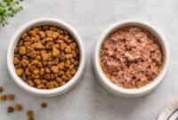 راهنمای انتخاب بهترین غذای سگ متناسب با سن و نژاد